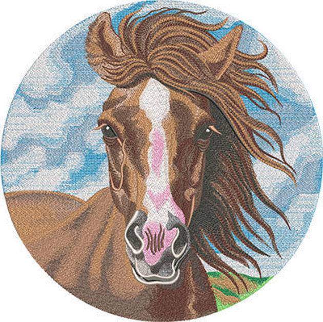 Picture of majestic horse embroidery design