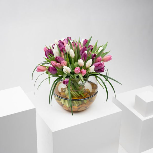 Picture of Vase of variegated tulips