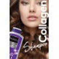 Picture of Collagen Biotin Shampoo 400 ML